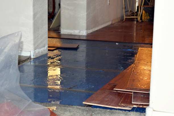Professional Flood Damage Repair technician working in Richland, MI